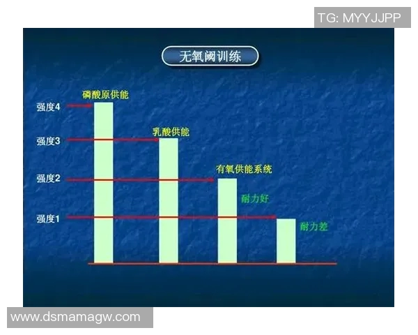 广州羽毛球队战术表现深度数据分析与策略优化研究