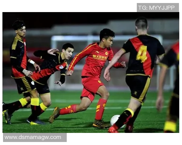 杭州足球队荣登全国足球比赛经验排行榜第四名的荣耀之旅